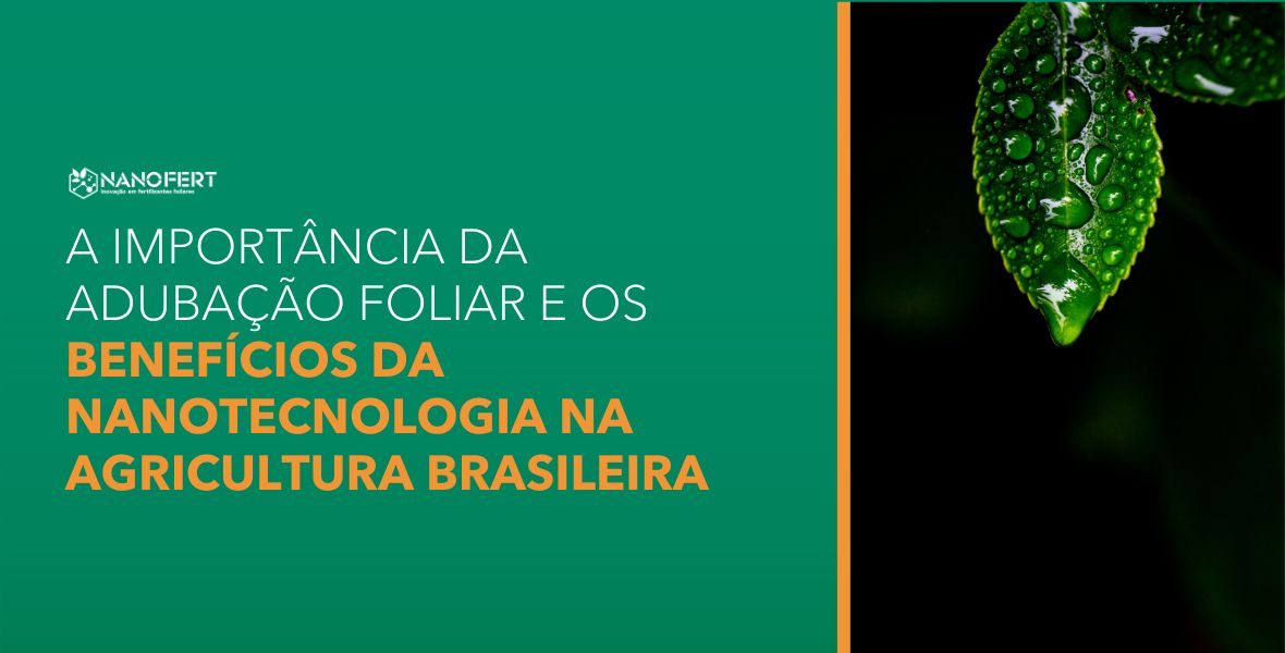 A Importância da Adubação Foliar e os Benefícios da Nanotecnologia na Agricultura Brasileira